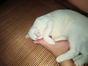 第645期