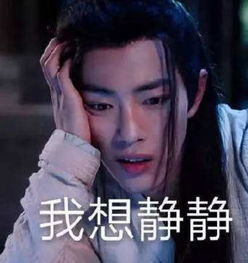 陈情令表情包上线了夷陵老祖生气了,哄不好的那种