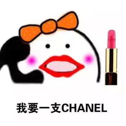 表情包喂小仙女,我发工资了,你想要买啥