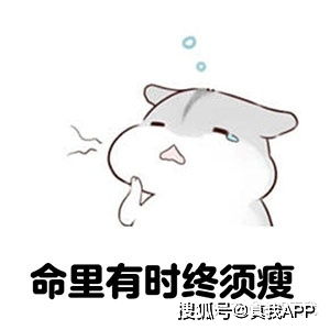腹肌or孕肚分不清,超模怀孕腹肌太逆天女明星长胎不长肉只靠两点