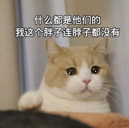 rmit期末考试政策注意事项延期申请重要校历,一文攻略