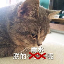 你想要的假期返程天气来咯