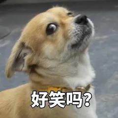 外国人禁足在家,什么迷惑行为哈哈哈......