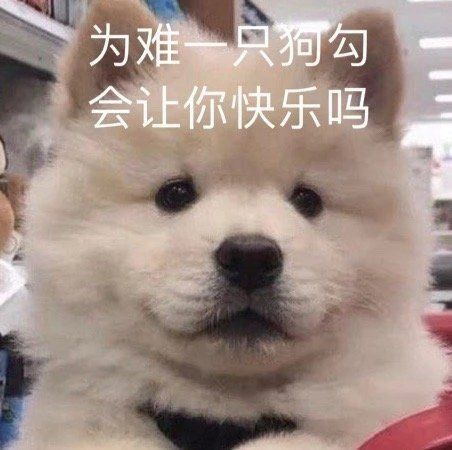 在相亲时碰到过怎样的奇葩对象
