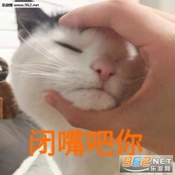 可把我能耐坏了猫咪傲娇表情包闭嘴吧你猫咪可爱表情包下载乐游网游戏下载