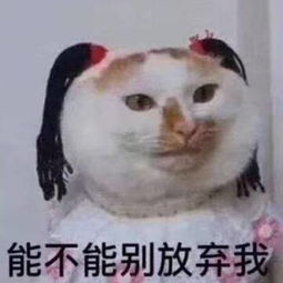 nikki7n的微博微博