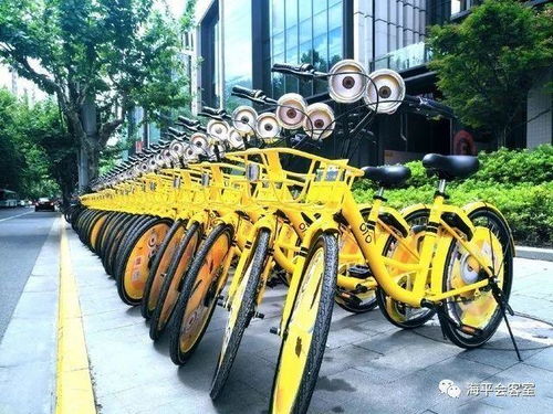 共享到底是资源共享还是资源浪费