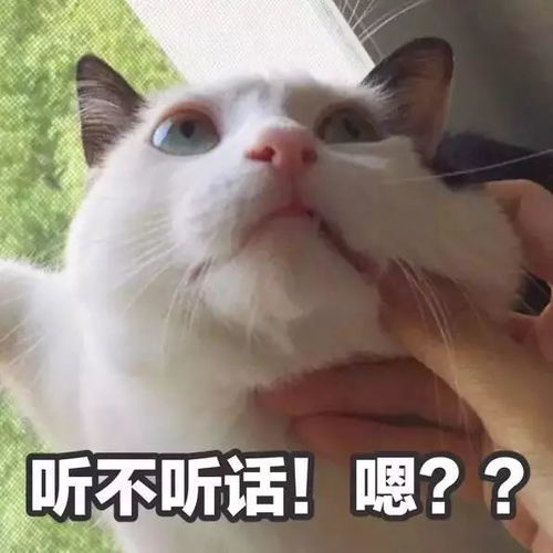 坏胆固醇是冬季血管杀手,不得不防啊