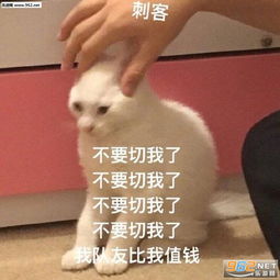 有点气但是怂图片四脸震惊表情包下载乐游网游戏下载