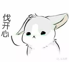 糖尿病最大的bug糖尿病肾病,换肾能修复吗