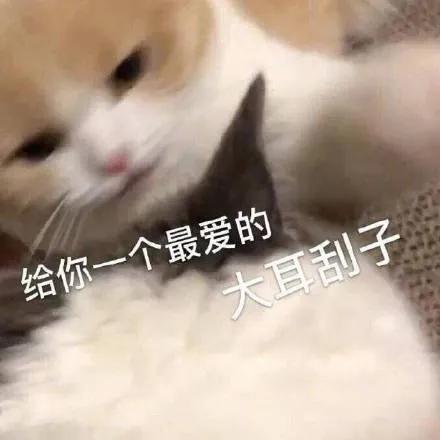 在逃3000w顶流朱一龙,这次被锤中了吗