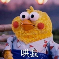 狗生赢家狗妈妈5天生31只崽,主人欲申吉尼斯纪录