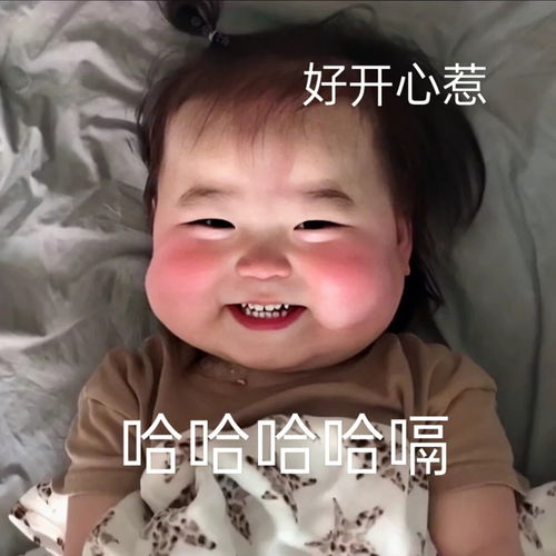 无标题