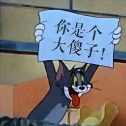 嗯收藏夹