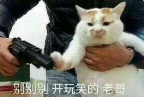 米娜晒出银行存款,自曝总榜大哥欠自己百万