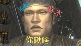 毛子表情包第二弹,币子莫跑留下来
