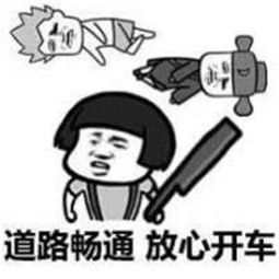 那你养我呀表情包开车