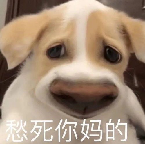 如何拒绝和朋友一起旅行