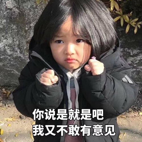 百度派问答社区界的快视频