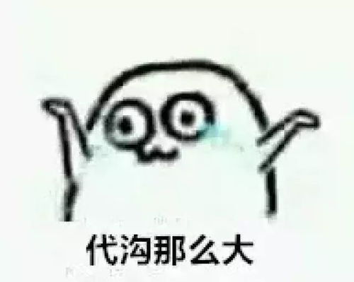 zqsgssfd进省考试卷你知道它们的意思吗
