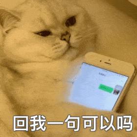 猫咪阴阳怪气表情包你不爱我对不对