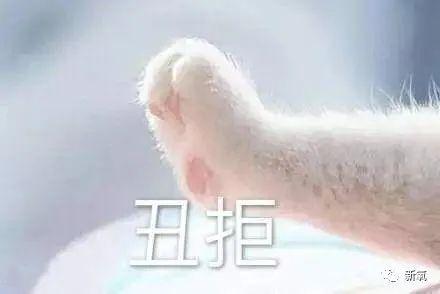 40岁秦岚是靠吃高光保养的吗整张脸透亮得像玻璃珠