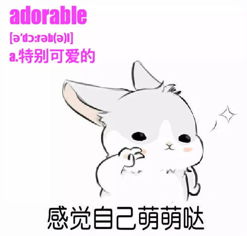 每日一句循环大考2140表情包考研单词版大放送