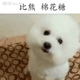 白熙xi的美拍