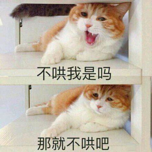 刚刚进组,选管理员可以这样拉票啊