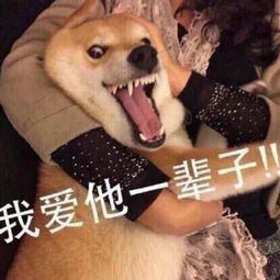 你玩你的lol,我秀我的老传奇