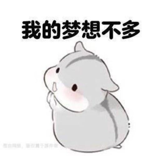 表情可爱松鼠暖心表情包我的梦想不多,未来有你就好了表情