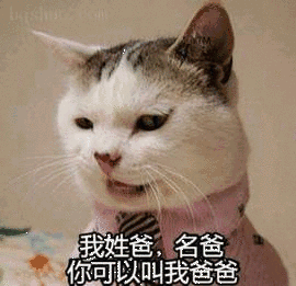 叫我爸爸表情包我姓爸,名爸,你可以叫我爸爸