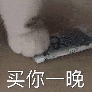 抖音最火的撩人表情包买你一晚,不够再加