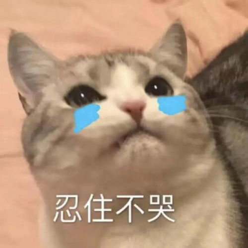 降雨大风天气转凉,注意添衣
