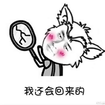 陈赫动态表情包