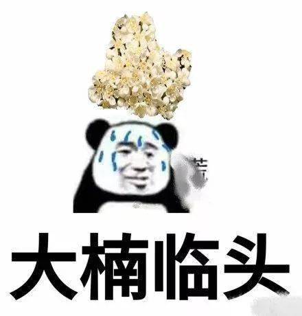 我姓石,我向全南通人道歉