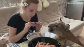 元旦的一天如此平淡