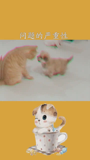 小白还没意识到问题的严重性,小黄狗已经哭着找妈妈去了