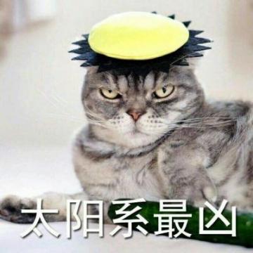 猫咪表情包头像凶凶哒