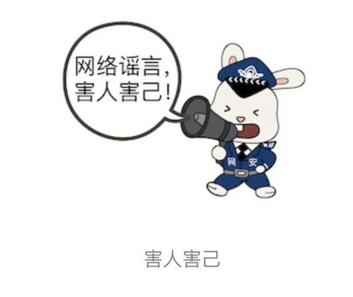 网安兔第二弹来袭,这套表情包请查收
