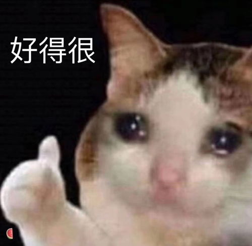 如果亲戚家的孩子看上了你的手办,想带回家,你会怎么办