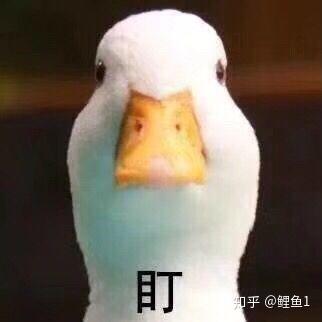 表情包大户的仓库