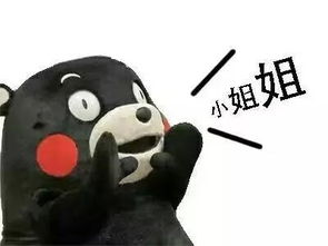 tom网邵阳市顺驰起亚