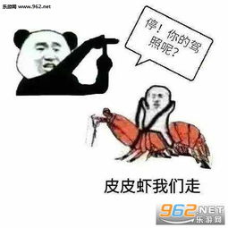 皮皮猪我们走表情包下载完整版乐游网游戏下载