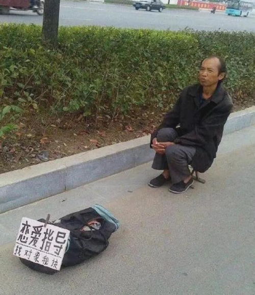 你知道牛一个屁的威力,有多大吗