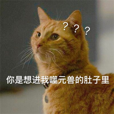 惊奇队长橘猫噬元兽表情包分享