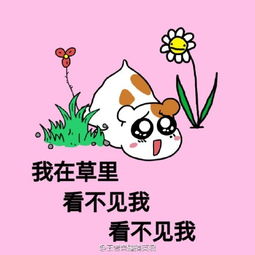 仓鼠表情包下载仓鼠表情包原图