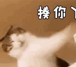 你在干嘛呢表情包沙币