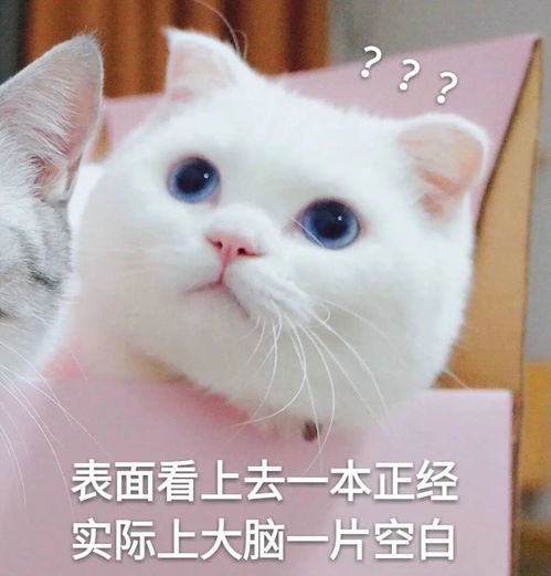 考研成绩不理想,到底要不要二战你想清楚了吗