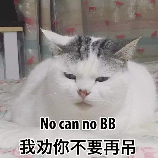 微信猫猫表情包是爱情
